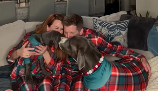 Tom and Elizabeth Fitzpatrick in matching plaid pajamas with their dog, sharing a loving moment at home, emphasizing family and pet care.